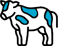 Kurban Bağışı